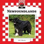 Newfoundlands di Jill C. Wheeler edito da Abdo Publishing Company