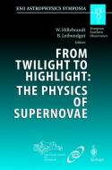 From Twilight to Highlight: The Physics of Supernovae edito da Springer Berlin Heidelberg