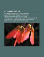 Clostridiales: Acidaminococcaceae, Clost di Fonte Wikipedia edito da Books LLC, Wiki Series