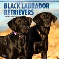 Labrador Retrievers, Black 2018 Wall Calendar di Inc Browntrout Publishers edito da Brown Trout