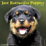 Rottweiler Puppies edito da Willow Creek Press
