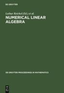 Numerical Linear Algebra edito da De Gruyter