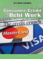 How Consumer Credit and Debt Work di Laura La Bella edito da Rosen Publishing Group