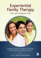 Experiential Family Therapy di Jon L. Winek edito da Sage Publications Inc