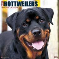 Rottweilers Calendar edito da Willow Creek Press