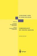 Cohomology of Finite Groups di Alejandro Adem, R. James Milgram edito da Springer Berlin Heidelberg