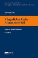 Bürgerliches Recht Allgemeiner Teil di Peter Bydlinski edito da Verlag Österreich GmbH