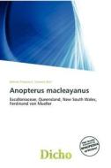 Anopterus Macleayanus edito da Dicho