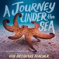 A Journey Under the Sea di Craig Foster edito da CLARION BOOKS