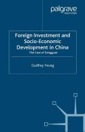 Foreign Investment and Socio-Economic Development di Godfrey Yeung edito da Palgrave Macmillan