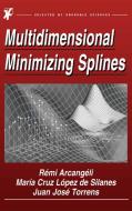 Multidimensional Minimizing Splines: Theory and Applications di R. Arcangeli, Maria Cruz Lopez De Silanes, Juan Jose Torrens edito da SPRINGER NATURE