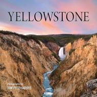 Yellowstone di Tracy C. Read, Tim Fitzharris edito da Firefly Books