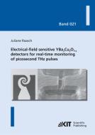 Electrical-field sensitive YBa2Cu3O7¿¿ detectors for real-time monitoring of picosecond THz pulses di Juliane Raasch edito da Karlsruher Institut für Technologie