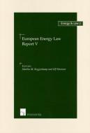 European Energy Law Report V di Roggenkamp edito da Intersentia Publishers