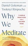 Why We Meditate di Daniel Goleman, Tsoknyi Rinpoche edito da Penguin Books Ltd