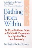 Birthing From Within di Pam England, Rob Horowitz edito da Profile Books Ltd