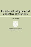 Functional Integrals and Collective Excitations di V. N. Popov edito da Cambridge University Press