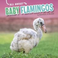 All about Baby Flamingos di Martha E. H. Rustad edito da PEBBLE BOOKS