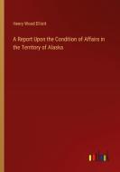 A Report Upon the Condition of Affairs in the Territory of Alaska di Henry Wood Elliott edito da Outlook Verlag