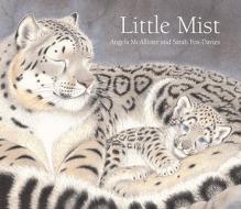Little Mist di Angela McAllister edito da KNOPF