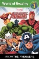 These Are the Avengers di Thomas Macri edito da TURTLEBACK BOOKS