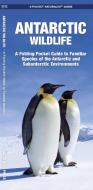 Antarctic Wildlife: A Folding Pocket Guide to Familiar Species of the Antarctic and Subantarctic Environments di James Kavanagh, Waterford Press edito da Waterford Press