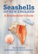 Seashells of New England di Sandy Allison edito da Globe Pequot