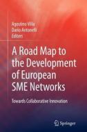 A Road Map to the Development of European SME Networks edito da Springer London