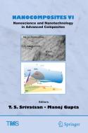 Nanocomposites Vi: Nanoscience And Nanotechnology In Advanced Composites edito da Springer Nature Switzerland Ag