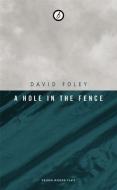 A Hole in the Fence di David Foley edito da OBERON BOOKS