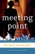Meeting Point di Roisin McAuley edito da Harper Perennial
