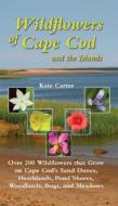 Wildflowers of Cape Cod and the Islands: Over 200 Wildflowers That Grow on Cape Cod's Sand Dunes, Heathlands, Pond Shore di Kate Carter edito da COUNTRYMAN PR