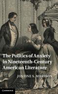 The Politics of Anxiety in Nineteenth-Century American Literature di Justine S. Murison edito da Cambridge University Press