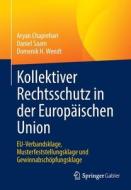 Kollektiver Rechtsschutz in der Europäischen Union di Aryan Chaprehari, Daniel Saam, Domenik H. Wendt edito da Springer-Verlag GmbH