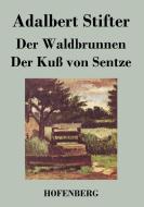 Der Waldbrunnen / Der Kuß von Sentze di Adalbert Stifter edito da Hofenberg