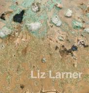 Liz Larner di Peter Pakesch edito da Holzwarth Publications