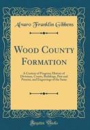 Wood County Formation: A Century of Progress; History of Divisions, Courts, Buildings, Past and Present, and Engravings of the Same (Classic di Alvaro Franklin Gibbens edito da Forgotten Books