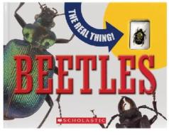 Beetles [With Real Beetle Encased in Plastic] di Mary Packard edito da Tangerine Press