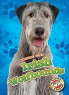 Irish Wolfhounds Irish Wolfhounds di Paige V Polinsky edito da Bellwether Media