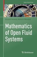 Mathematics of Open Fluid Systems di Antonin Novotný, Eduard Feireisl edito da Springer International Publishing