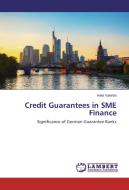 Credit Guarantees in SME Finance di Anke Valentin edito da LAP Lambert Academic Publishing