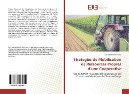 Strategies de Mobilisation de Ressources Propres d'une Cooperative di Sabi Yari Ouorou Boun edito da Éditions universitaires européennes