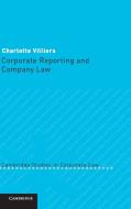 Corporate Reporting and Company Law di Charlotte Villiers edito da Cambridge University Press