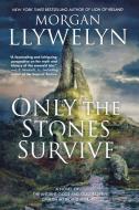 Only the Stones Survive di Morgan Llywelyn edito da St Martin's Press