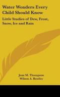 Water Wonders Every Child Should Know: Little Studies of Dew, Frost, Snow, Ice and Rain di Jean M. Thompson edito da Kessinger Publishing