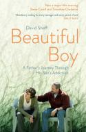 Beautiful Boy. Film Tie-In di David Sheff edito da Simon + Schuster UK