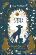 Spider. Die große Reise eines kleinen Hundes di Andy Mulligan edito da Rowohlt Taschenbuch
