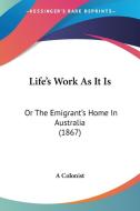Life's Work As It Is di A Colonist edito da Kessinger Publishing Co
