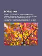 Rosaceae: Potentille, Rosier, Rose, Pomm di Livres Groupe edito da Books LLC, Wiki Series