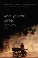 What You Call Winter di Nalini Jones edito da ANCHOR